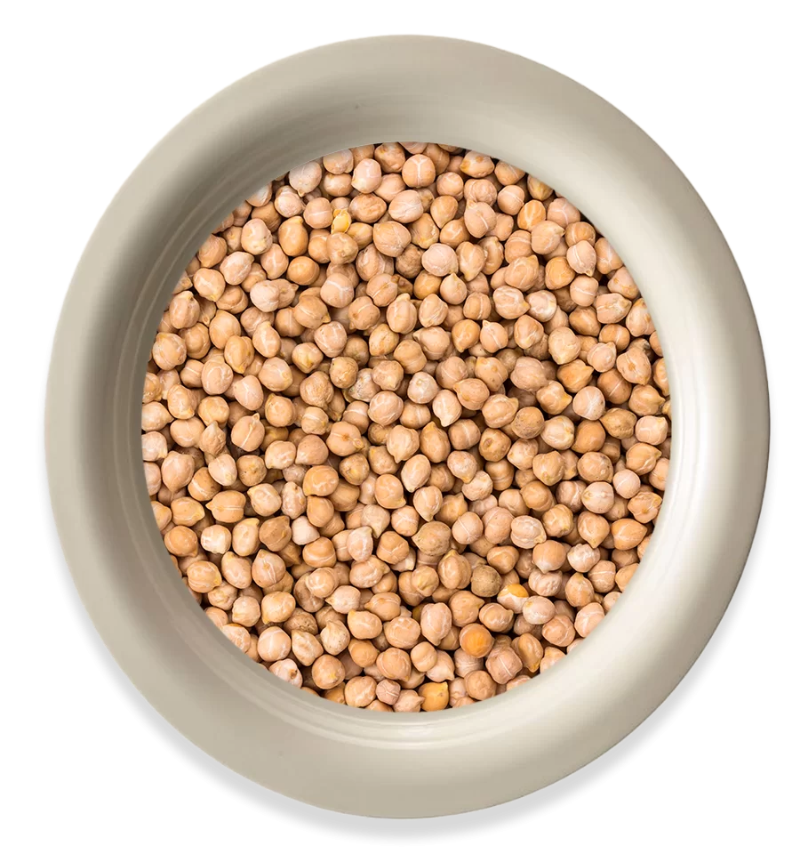 Chickpea